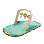 Hape Draagbare Babygym