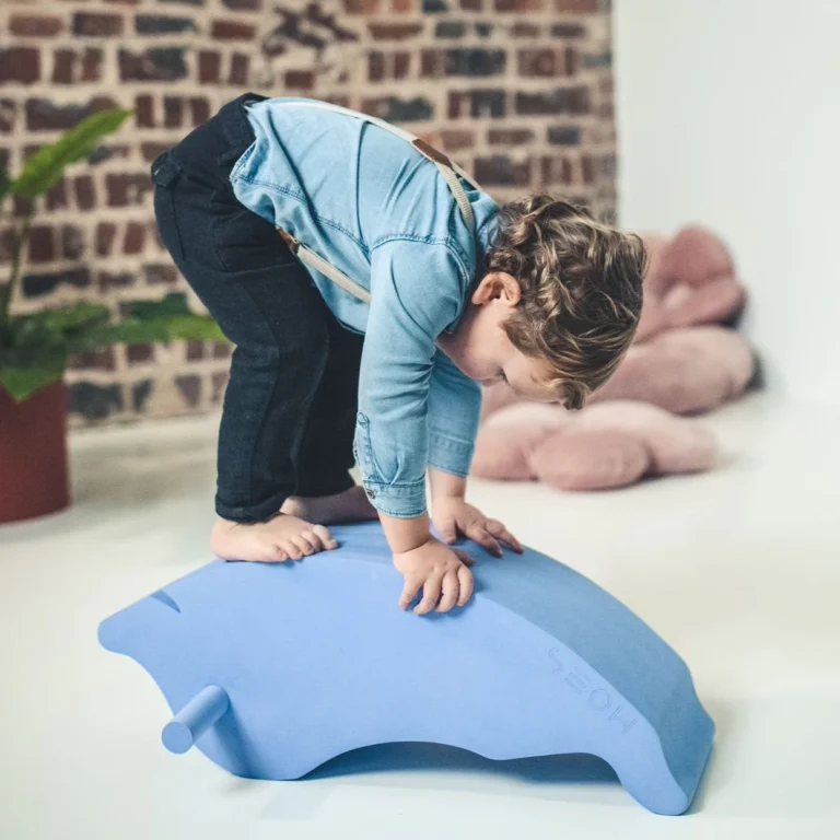 Moes Play Dolphin