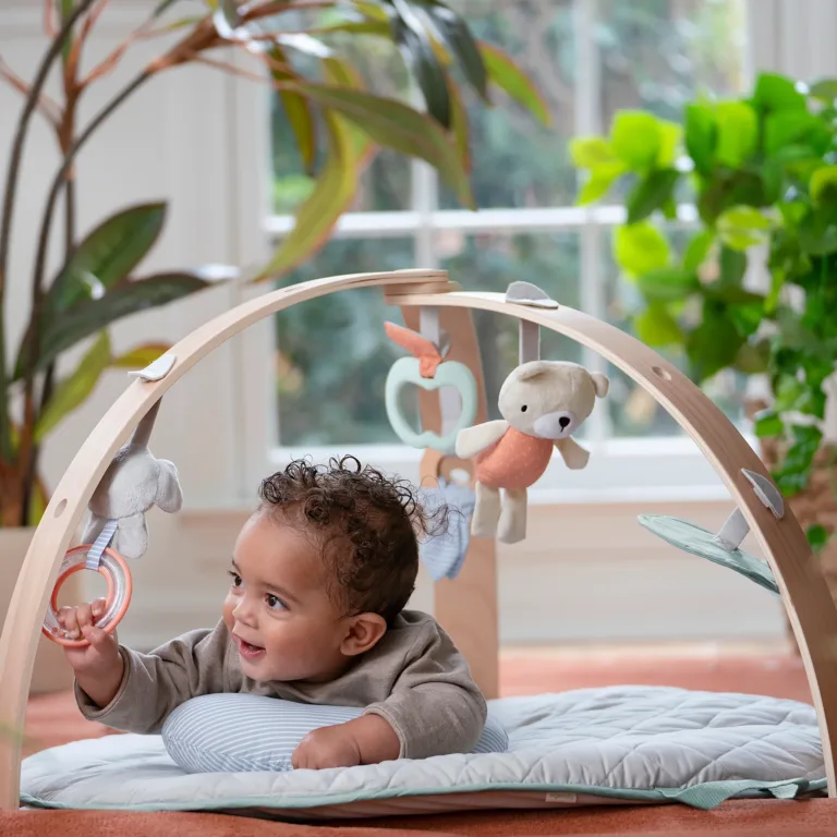 Ingenuity Speelkleed Babygym