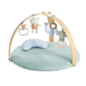 Ingenuity Play Rug Babygym
