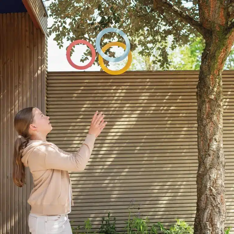 BS Toys Juggling Rings