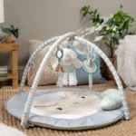 Ingenuity Sheppy’s spot activity gym