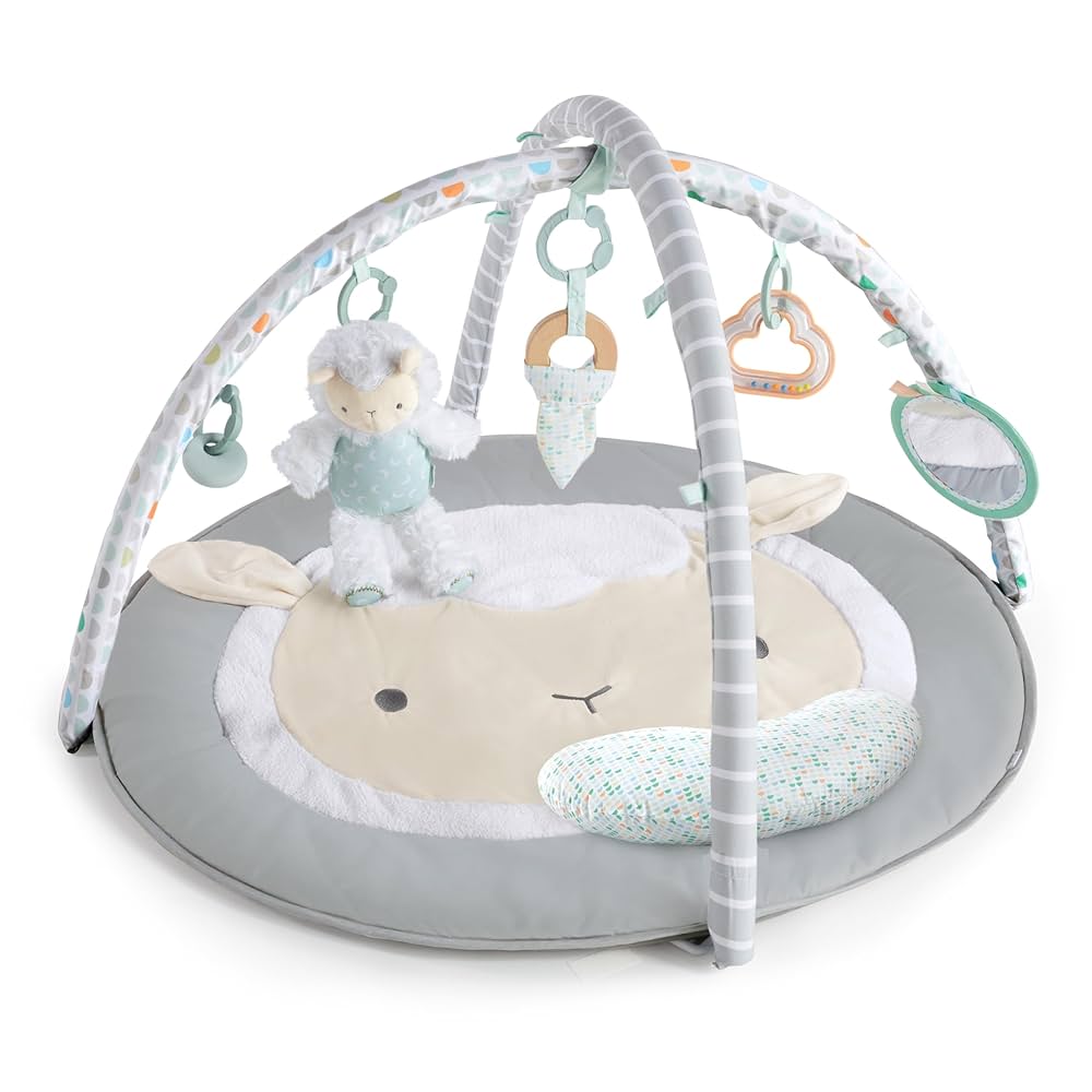 Ingenuity Sheppy’s spot activity gym