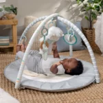 Ingenuity Sheppy’s spot activity gym