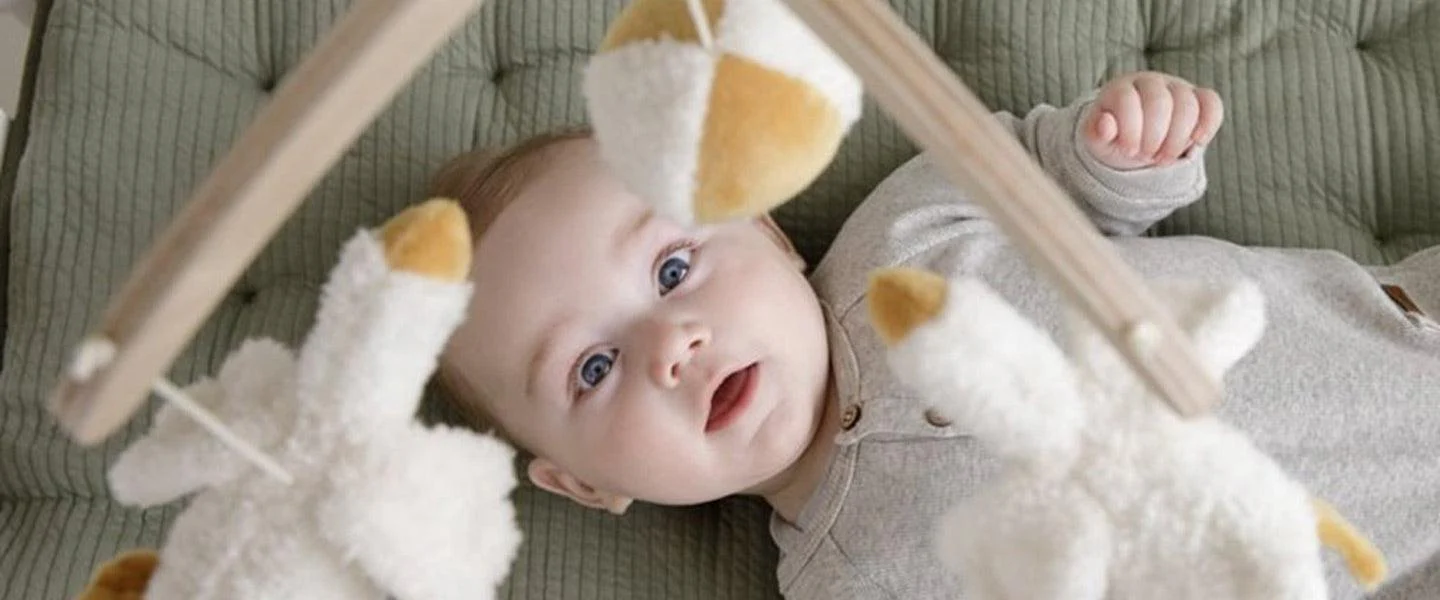Baby speelt met Little Dutch babygym
